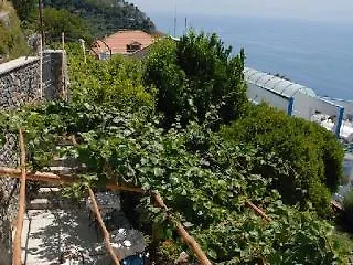 度假居 Il Rifugio Di Ela Con 2 弗洛里